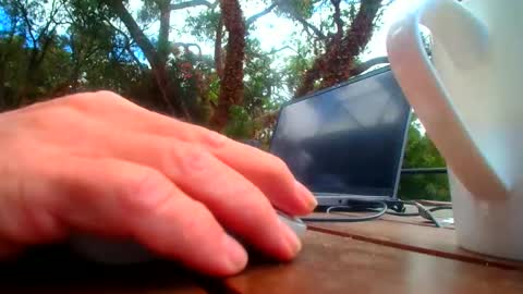 Fun Monster online show from February 2026 01:01:02 AM