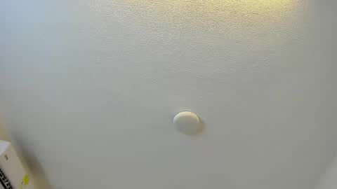 Brittany  online show from March 2026 08:00:01 PM