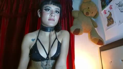 maru miaw   Please help me to reach 100 thumbs up online show from February 2025 06:56:02 AM