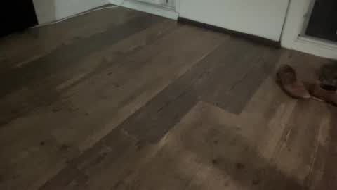 Broke Hung College Guy online show from February 2026 05:47:01 AM