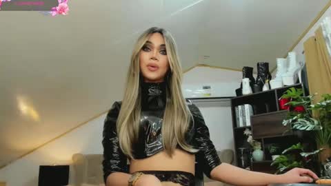 Snapshot of brooke_lynnhyts chatting on December 2024 04:52:01 AM Brooke Shimmers IG online show from December 2024 04:52:01 AM