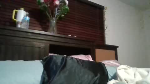 Snapshot of brownsugar0910 chatting on December 2024 03:45:02 AM EtherealLilac online show from December 2024 03:45:02 AM