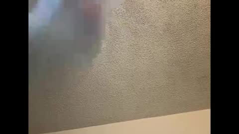 Snapshot of brownsugar0910 chatting on March 2025 12:07:02 AM EtherealLilac online show from March 2025 12:07:02 AM