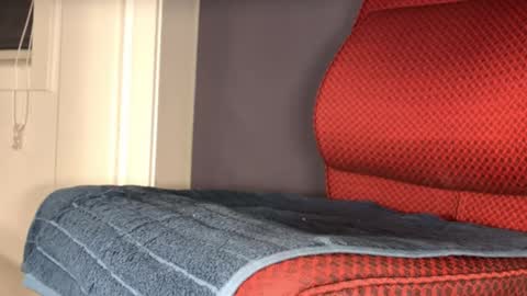 Snapshot of brsrk chatting on December 2025 03:54:02 PM Brsrkr online show from December 2025 03:54:02 PM