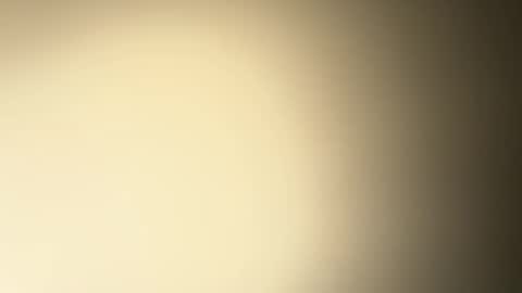 BRUCE online show from December 2024 02:33:02 AM