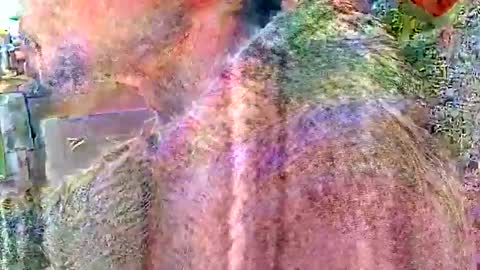 Steve... aka SkinnieDippin aka TimberTramp online show from April 2026 04:59:02 PM