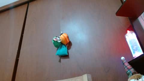 Snapshot of bryan_colen chatting on February 2025 04:24:01 PM Enjoy the best muscle straws online show from February 2025 04:24:01 PM