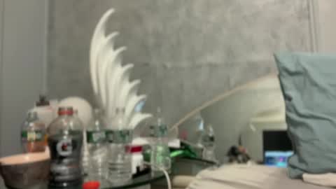 Snapshot of bubbahumps chatting on January 2025 07:42:01 PM bubbahumps online show from January 2025 07:42:01 PM
