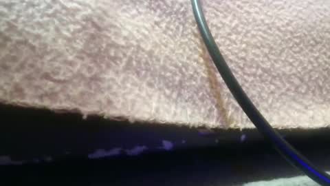 Snapshot of bubumaci53 chatting on November 2025 10:47:02 PM bubumaci53 online show from November 2025 10:47:02 PM