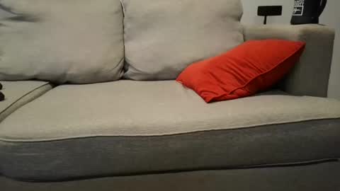 Snapshot of buck_camstar chatting on September 2025 02:42:02 PM Buck online show from September 2025 02:42:02 PM