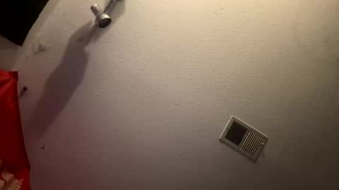 Snapshot of buckoykang chatting on December 2024 11:55:02 AM buckoykang online show from December 2024 11:55:02 AM