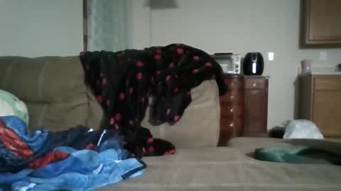 Snapshot of bud42o chatting on September 2025 04:56:02 AM Bud42o online show from September 2025 04:56:02 AM