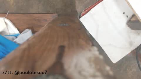 Snapshot of buldgeinboxer chatting on February 2025 07:21:01 PM buldgeinboxer online show from February 2025 07:21:01 PM