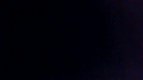 Bull balls online show from February 2025 01:09:02 PM