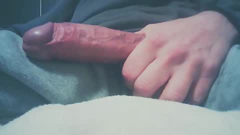 Snapshot of bundy2016 chatting on December 2024 08:24:01 AM Dutch cock online show from December 2024 08:24:01 AM