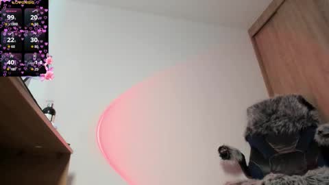 Snapshot of bunnyblush18 chatting on October 2025 02:24:01 PM Sammy online show from October 2025 02:24:01 PM