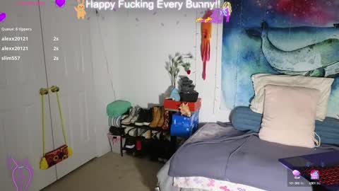 Tokki  bunny  online show from February 2025 11:48:01 PM