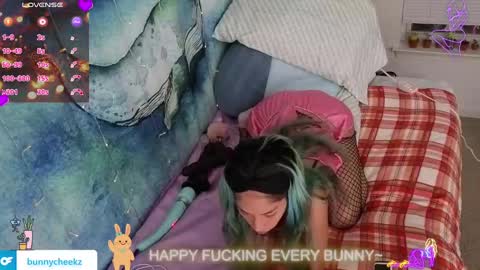 Tokki  bunny  online show from November 2025 08:14:02 AM