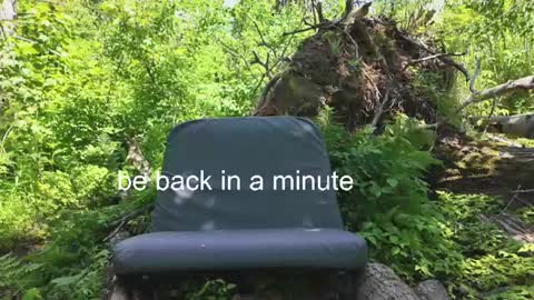 busbuddies online show from June 2026 04:15:01 PM