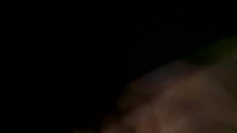 bushmen21 online show from December 2024 11:40:01 PM