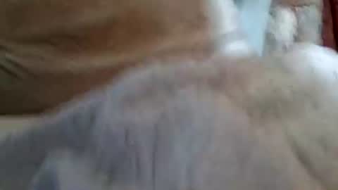 Buster18Hymen online show from February 2026 10:08:02 PM