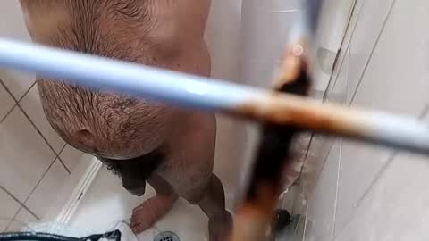 Snapshot of bxpapi69 chatting on November 2025 04:22:02 AM bxpapi69 online show from November 2025 04:22:02 AM