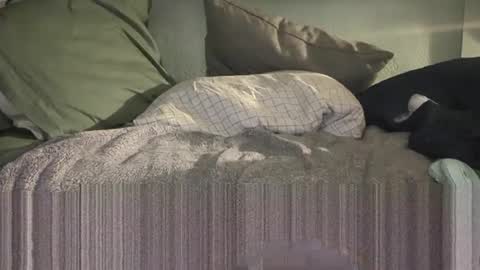 1DontR3member online show from January 2026 08:53:02 AM