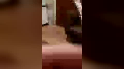 cachondo22fu online show from July 2026 02:42:01 AM