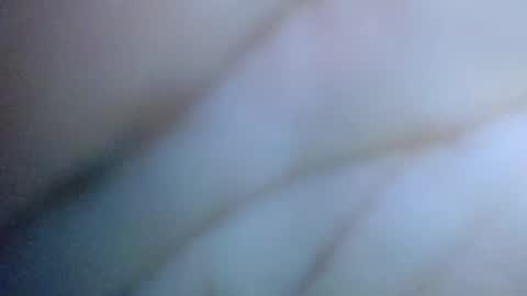 Cactus1041 online show from June 2026 07:43:01 AM