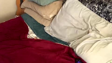 Snapshot of cadillacpmc chatting on January 2025 09:15:01 PM Cadillac P online show from January 2025 09:15:01 PM