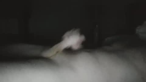 Snapshot of caguy2810 chatting on December 2025 10:19:01 PM caguy2810 online show from December 2025 10:19:01 PM