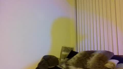 Snapshot of cal_xxx chatting on November 2025 02:13:01 AM Cal XXX online show from November 2025 02:13:01 AM