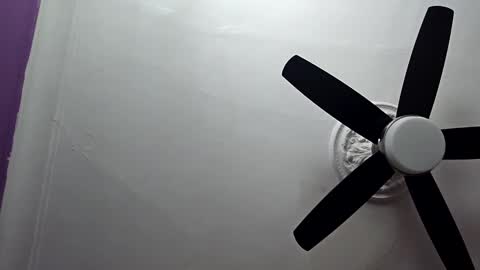 Loveittt online show from March 2025 06:08:02 PM