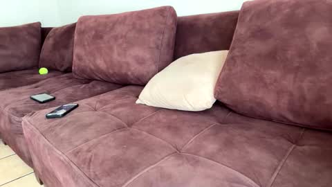 Snapshot of callmeelmore chatting on February 2026 06:19:01 PM My name is Robert Dont be shysay hi I love to chat. For requests or dirty talk please use tips online show from February 2026 06:19:01 PM