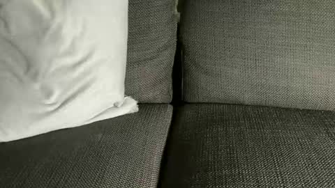 camdarko online show from June 2026 09:54:02 PM