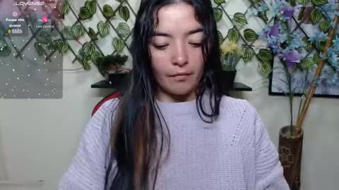 camelia online show from January 2025 01:58:01 PM
