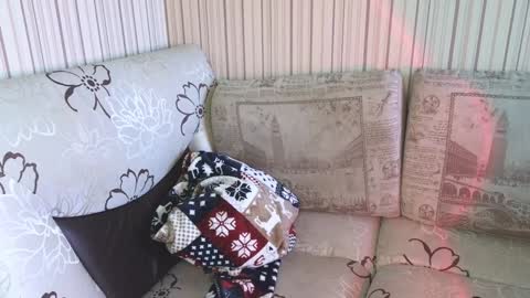 Snapshot of cameron_crowly chatting on January 2025 09:17:02 AM Cameron online show from January 2025 09:17:02 AM