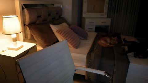 Camila buitrago online show from November 2025 11:37:01 PM