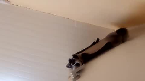 Snapshot of camilarubla chatting on December 2025 06:46:02 PM camilarubla online show from December 2025 06:46:02 PM