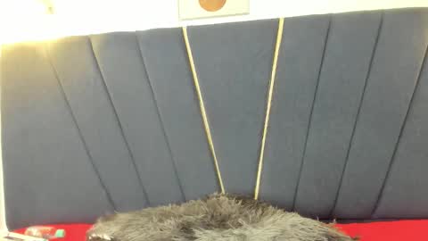 candy18_ho online show from February 2026 03:22:02 AM