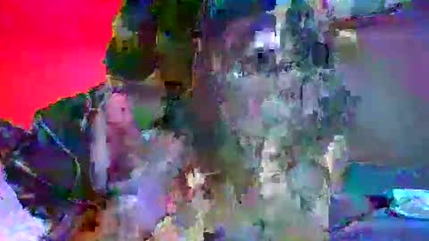 Snapshot of candy_kyle chatting on October 2025 10:28:02 PM candy kyle online show from October 2025 10:28:02 PM