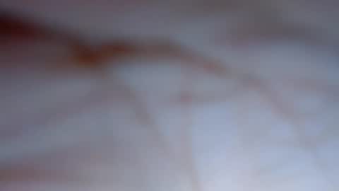 candymorena69 online show from July 2026 12:35:02 AM