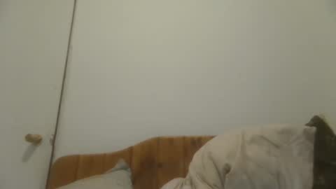 caravibugue online show from December 2024 01:03:01 AM