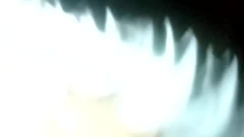 carlitito1 online show from April 2026 10:16:01 AM