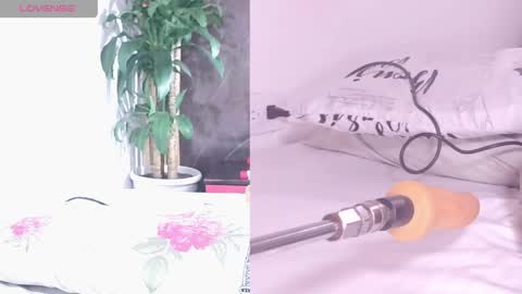 Carol online show from April 2026 11:02:02 AM