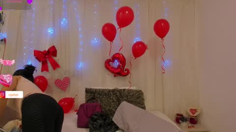 carolina_gaita online show from February 2025 11:55:01 AM