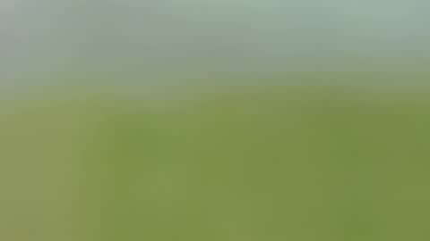 Caro online show from September 2025 01:53:01 AM