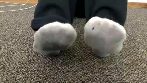 Snapshot of cash13bychanel chatting on November 2025 07:34:02 PM cash13bychanel online show from November 2025 07:34:02 PM