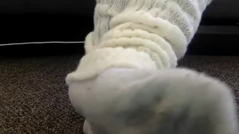 Snapshot of cash13bychanel chatting on December 2025 07:00:01 PM cash13bychanel online show from December 2025 07:00:01 PM