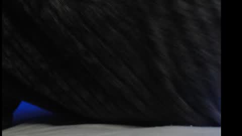 Snapshot of casidy1 chatting on March 2025 06:59:02 PM casidy1 online show from March 2025 06:59:02 PM